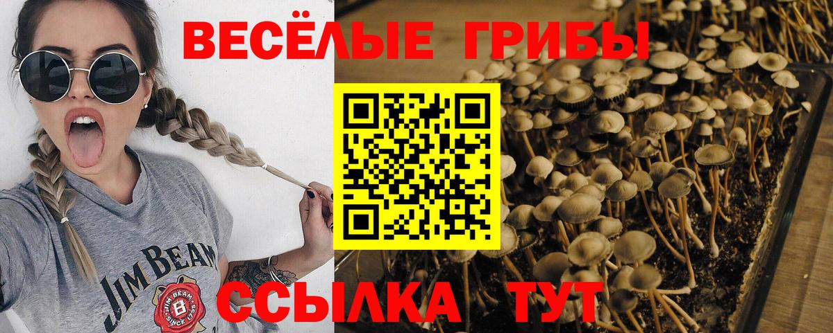 Героин  КОКАИН  Вход с VPN  Меф   Гашиш  Владивосток  Канабис  ГАШИШ 